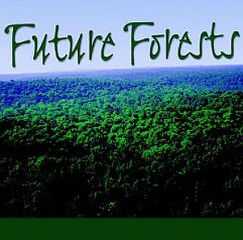 A Look at Sustainable Harvesting in a Hardwood Forest