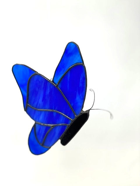 Thumbnail: Butterfly Beauty