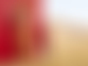 COLLEZIONE AUTUNNO/INVERNO 2022/2023 IL GUFO AURORA