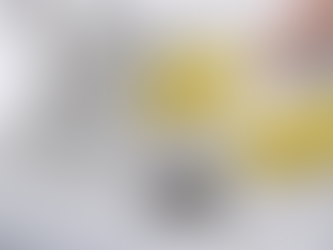 What Are Drain Flies and How to Get Rid of Drain Flies