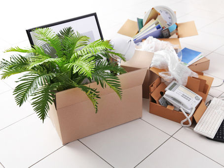 The Best Post Renovation Cleaning Tips and Guide 2023