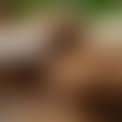 Discover the Natural Skincare Advantages: The Amazing Benefits of Natural Skincare