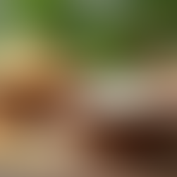 Embrace Nature: The Benefits of Natural Skincare