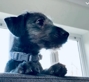 Screenshot 2026-04-30 121002.png