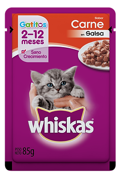 SobreGatitoCarne-01_0010.png