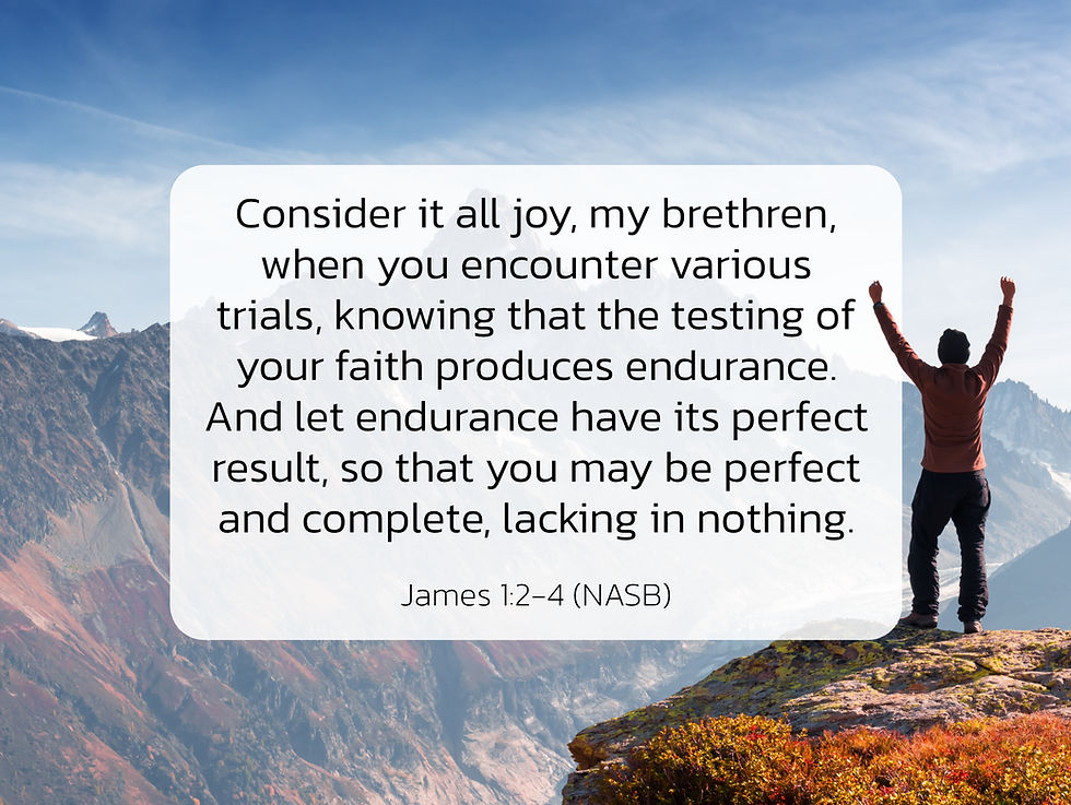 Person celebrates on a mountain with arms raised. Inspirational text from James 1:2-4 (NASB) is displayed over a blue sky.