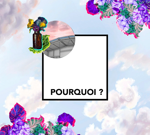 Accueil-images-2_3.png