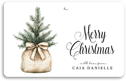 Thumbnail: Neutral Boho Christmas (Landscape) Gift Tags