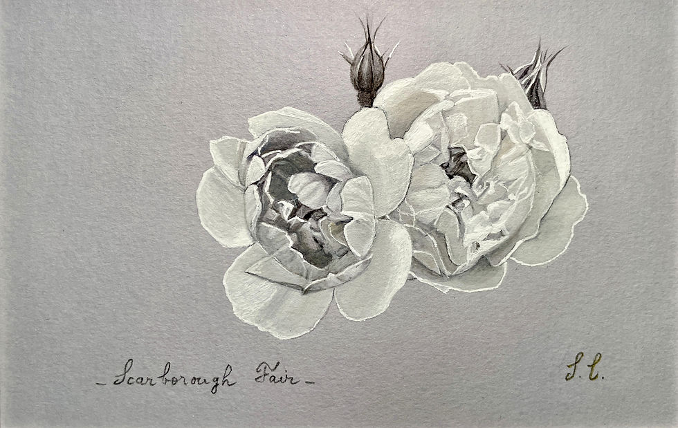 Scarborough Fair (disponible)