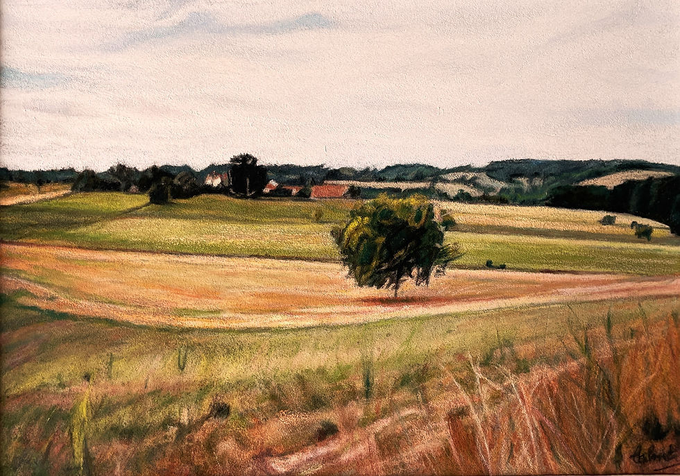 L'Arbre - Périgord vert (disponible)