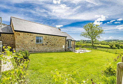 Cherry Blossom at Frythens Cottages, near Hayle and Marazion in West Cornwall