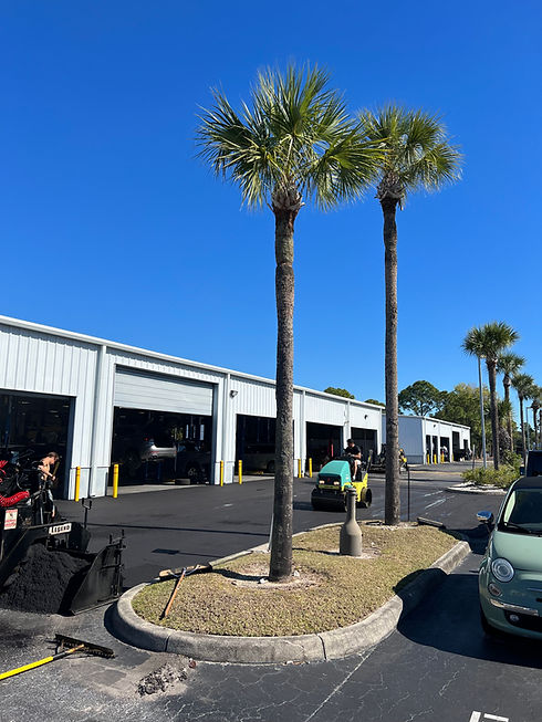 Asphalt paving in Tampa. Asphalt paving in Miami. Asphalt paving in Orlando. Asphalt paving in Ocala. Asphalt paving in St. Pete