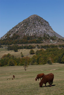Camping les Charmilles Ardeche.jpg