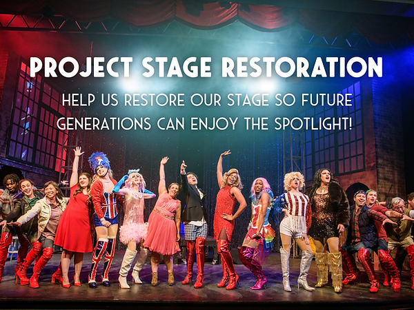 Stage Campaign (24 x 18 in).png