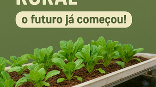 Aquaponia e Extensão: a revolução verde que vem do campo e vai com a gente pro futuro