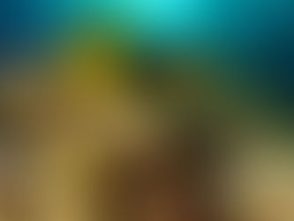 The Economic Perspective 7/21/2023