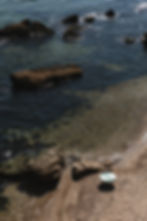 Nature.jpg