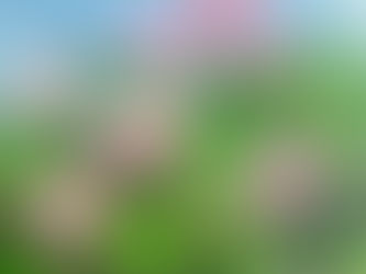 Remembering places through colours and feeling