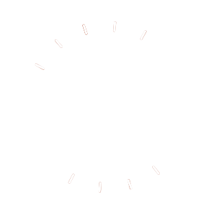 sofas en leon