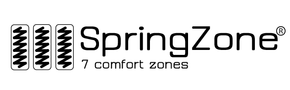 logo-springzone