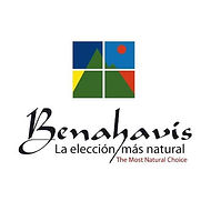 pintores benahavis