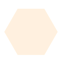 Hexagon-Orange_edited.png