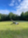 received_764677488307520.jpeg