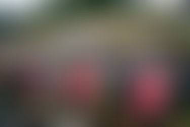 Weltmeisterschaft XCC in Les Gets