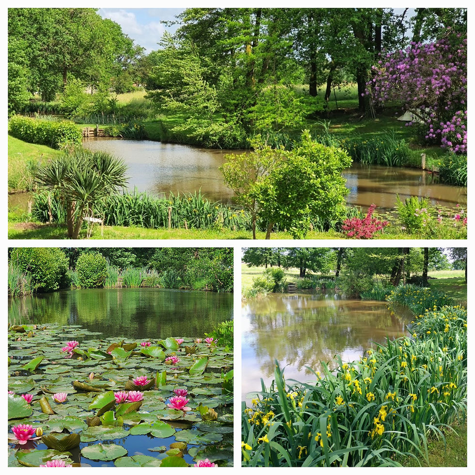 PARC