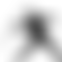 The Neeraj Constellation over Indian skies