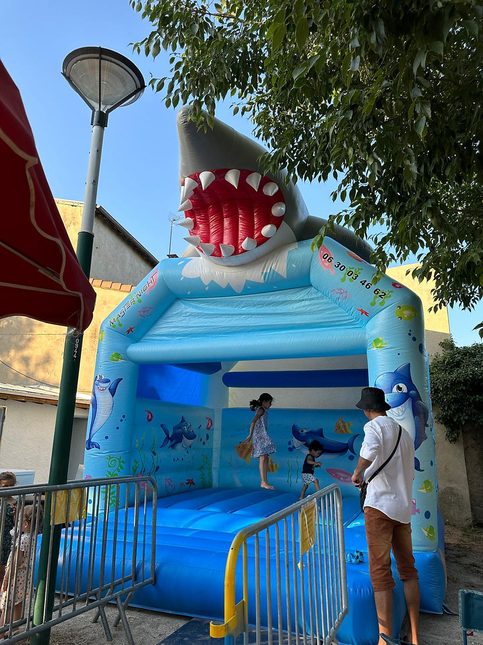 Miniature : Requin