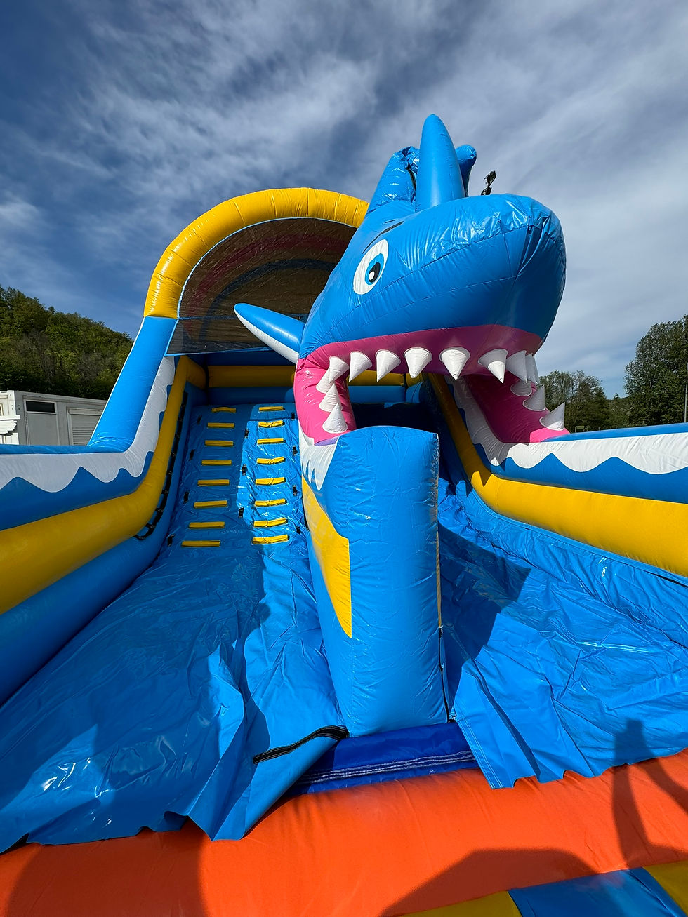 Miniature : Toboggan Géant Requin