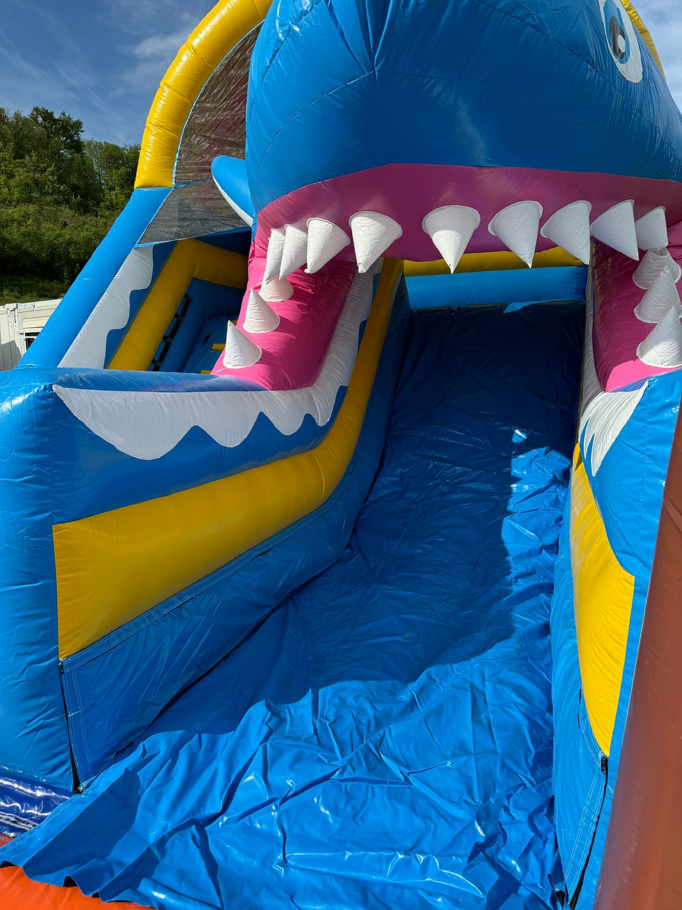 Miniature : Toboggan Géant Requin