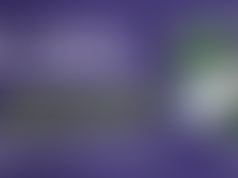 Waste / recycling consultation now open - have your say on potentially 5 bins per household and revised collection schedules