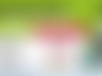 Christmas Collections