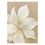 Thumbnail: White Lily Canvas Wall Art