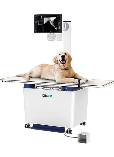 dr gem.webp