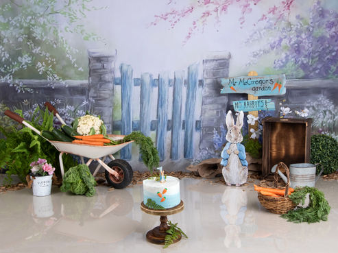 Cake Smash Photography Torquay Torbay Devon