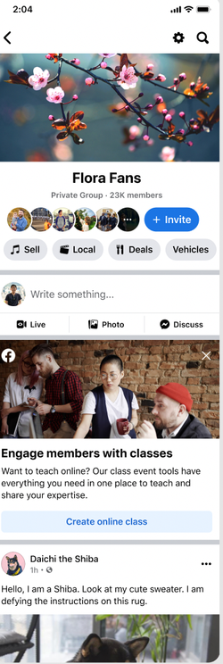 Facebook group_message