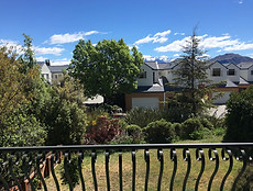 IMG_6408.jpg