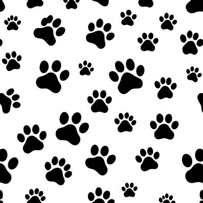 black dog paw prints on a transparent background.jpg