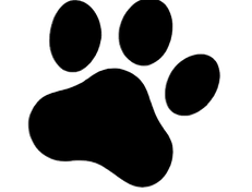 black dog paw prints on a transparent ba