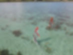 DJI_0020