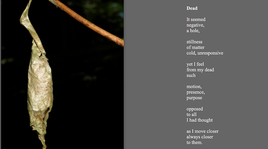 Screen Shot 2020-11-03 at 4.50.29 PM.png