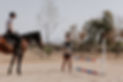 A woman on a horse getting a lesson from a woman on the ground