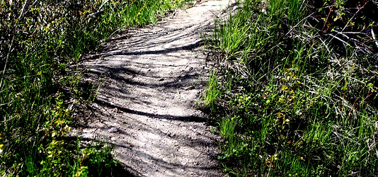 2000_6249fff44b093.webp