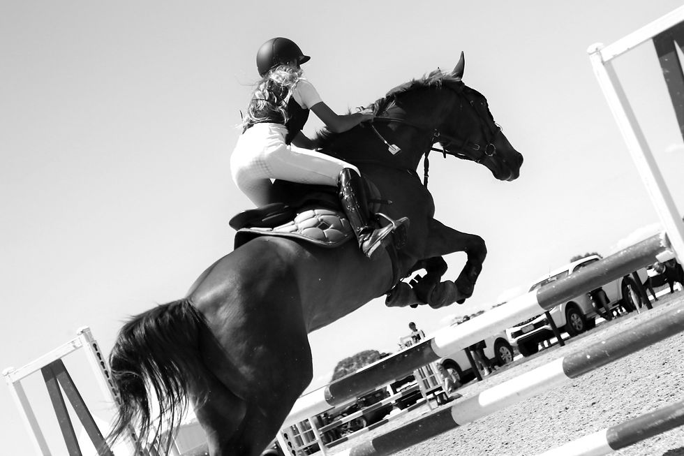 Boneo-Park-Jumping_edited.jpg