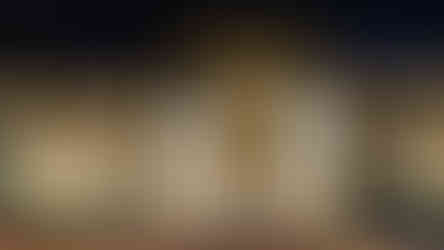 Royal Ontario Museum, Toronto, Nabobswims