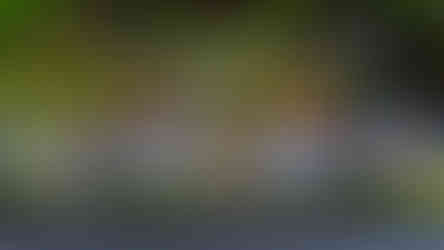 Hills Showground Metro Station; Sydney Metro; Nabobswims