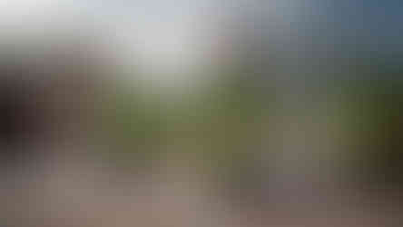 Distillery District, Toronto, Nabobswims